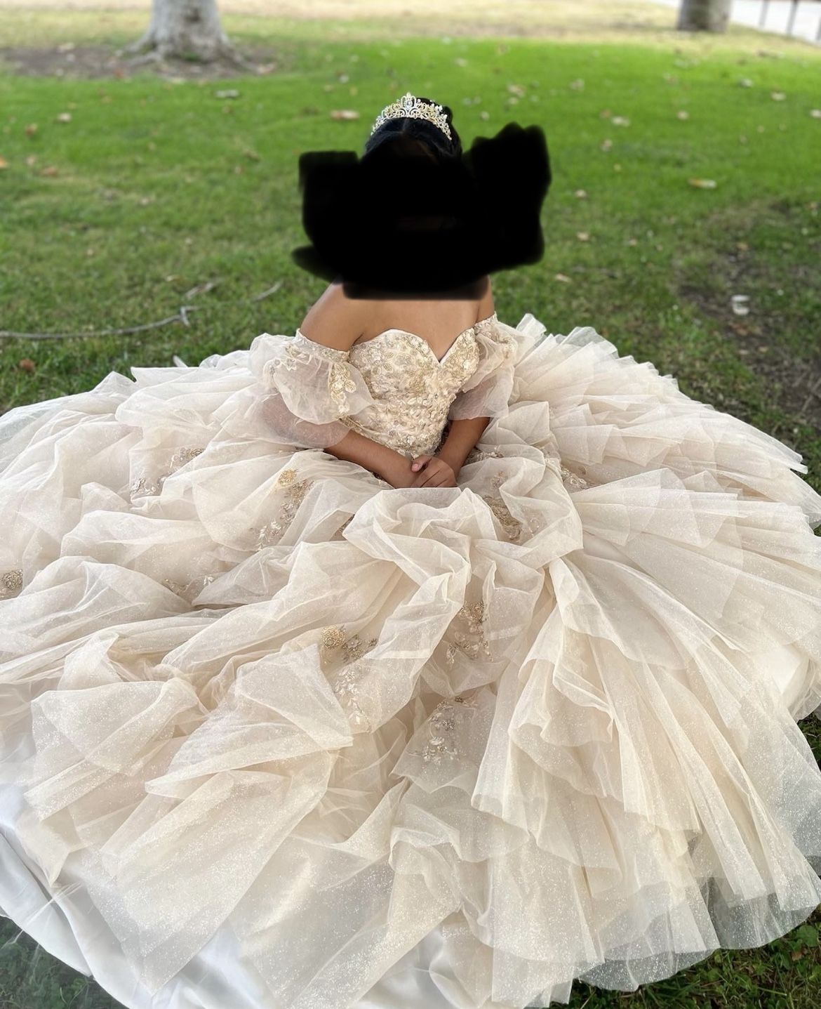 Quinceanera dress, Sweet sixteen dress, Sweet 16 Dress, Debut Dresses, Party dress, princess Dress, Ball Gown