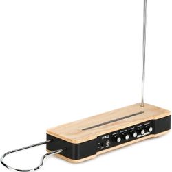 Moog Etherwave Theremin – Limited Edition Glow-in-the-Dark Cabinet – NEW in Box