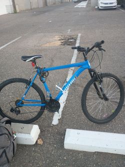 Nishiki bike