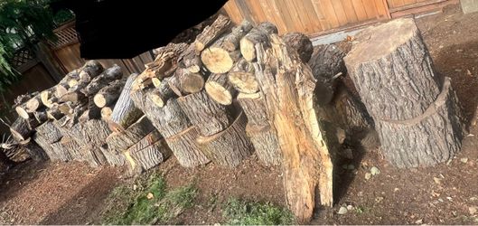 Free firewood