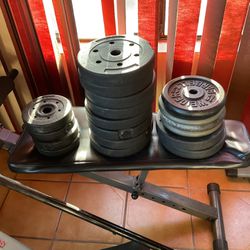 Weight Plates + Workout Equipment 