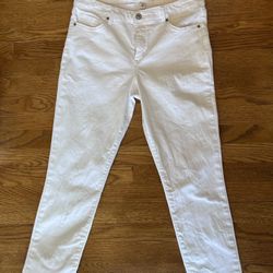 PRICE REDUCED Vintage America Wonderland Skinny Jeans