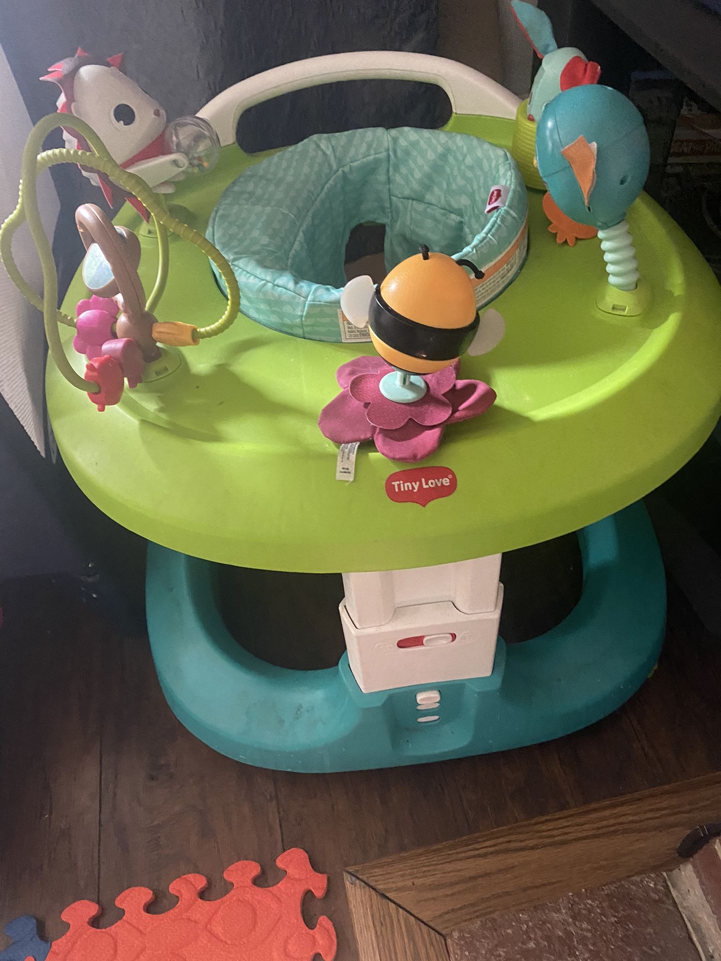 Tiny Love 4 In 1 Bouncer