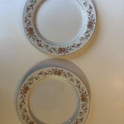 Vintage Baum Bros China Salad Plates – Floral Pattern – Set of 2 – Fair Condition