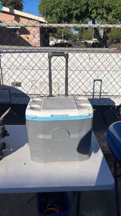 Igloo small  ice chest
