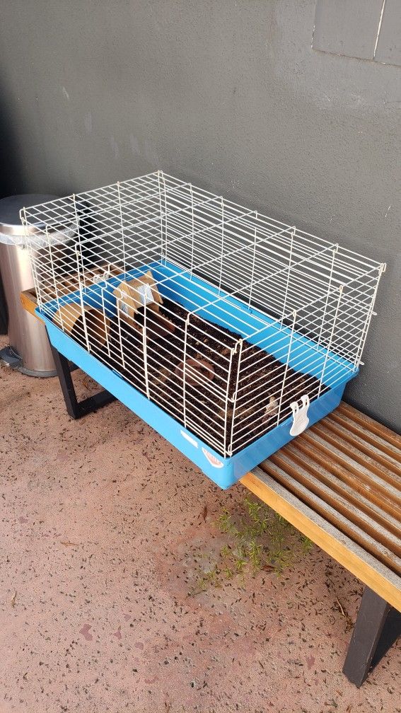 *** Kaytee Small Animal Cage ***