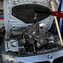 BMW Specialist