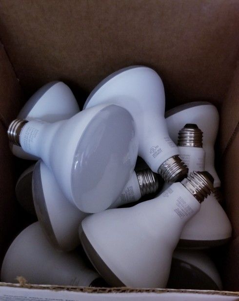 Feit Flood Light Bulbs