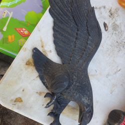 The price is firm.. test aluminum American eagle