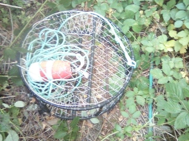 Dungeness Crab Pot Everything With It