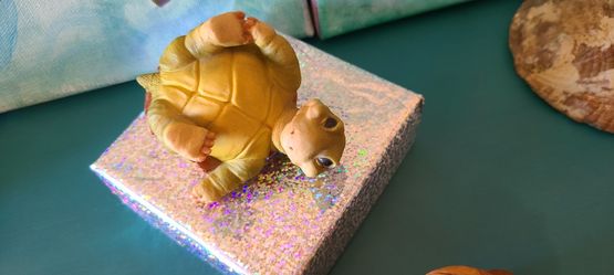 Porcelain Turtle Collectables