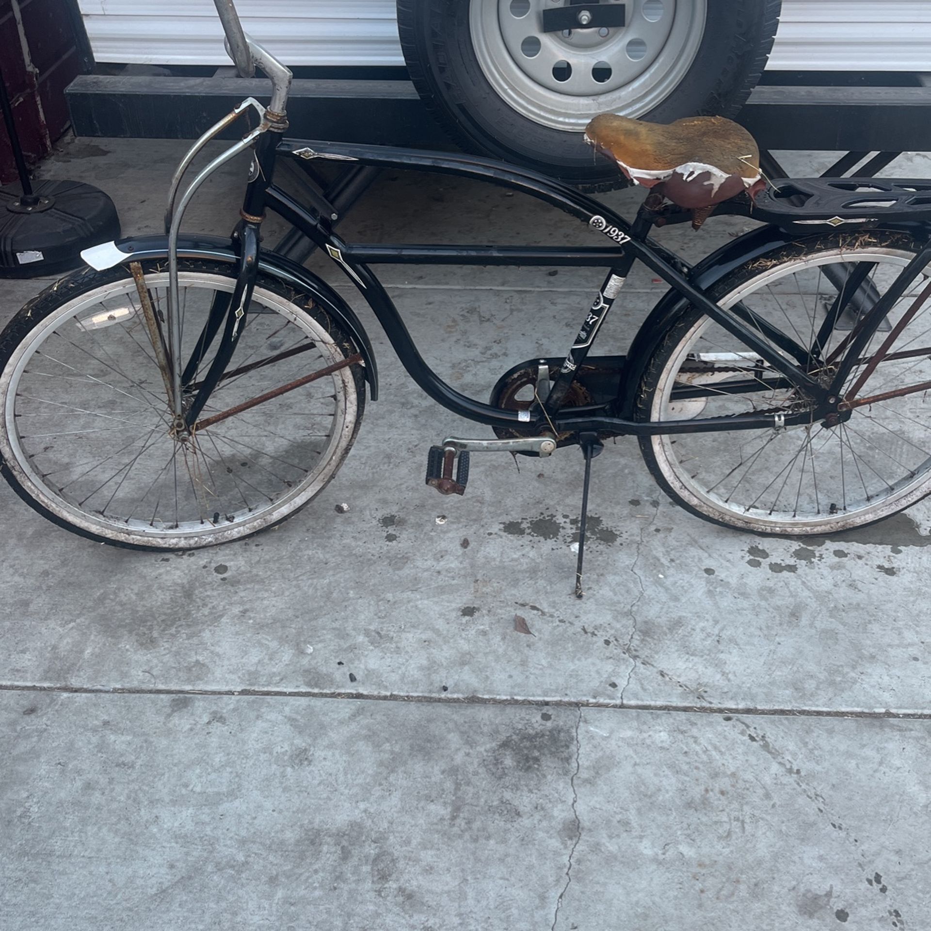 Beach Cruiser Bike