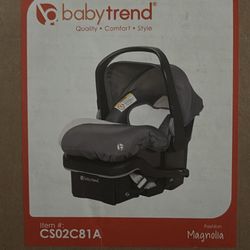 Double stroller and Car seat
