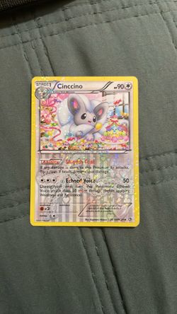 Cinccino