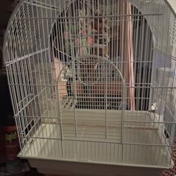 Bird Cage