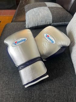 Winning Professional Punching Boxing Gloves