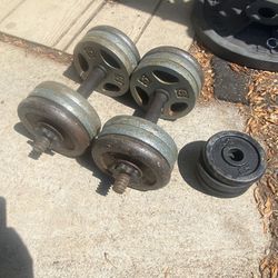 Standard Dumbbells With Weights 