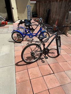 Trike , mountain bike and beach cruiser $150
