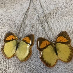 Real Butterfly Speicmen Necklace