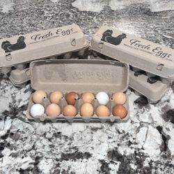 Farm Fresh Eggs – Laid Daily! 🐓
