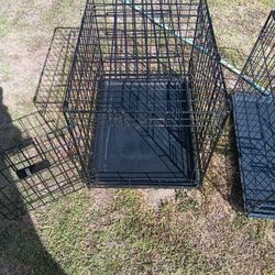 Pet Carriers 