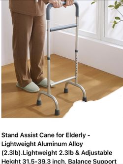 Stand Assist Cane 