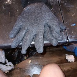 Gloves 