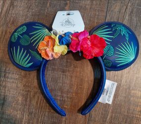 Mickey Mouse Ears