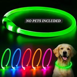 Flashseen LED Dog Collar, USB Rechargeable Glowing Lighted Up Collar, Green