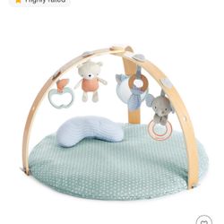 EUC- Ingenuity Cozy Spot Reversible Duvet Activity Gym with Wooden Toy Bar