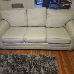Light Sage Color Sofa