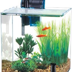 2.7 Gallon Curved Frameless Fishtank. Filter And Heater Included *🚚FAST SHIPPING🚚*