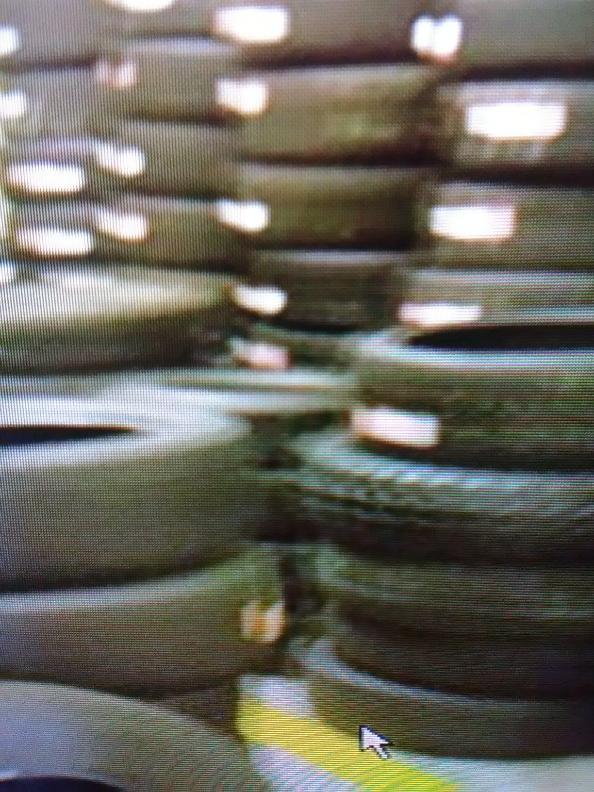 Cars trucks SUVs Vans and trailer tires