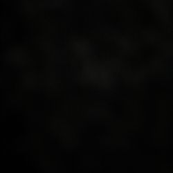 Waste Management Sat GA Ticket 150$