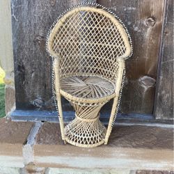 Mini Peacock Chair