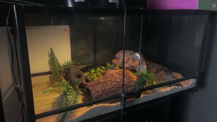 Reptile tank
