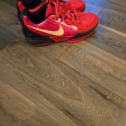 Basketball Shoes
