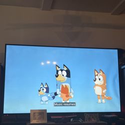 Sony 85in TV