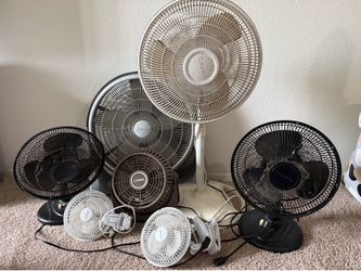 COLLECTION OF FANS
