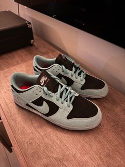 Brand new shoes dunks