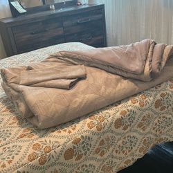 Queen Size Comforter, Two Pillow Shams Shams