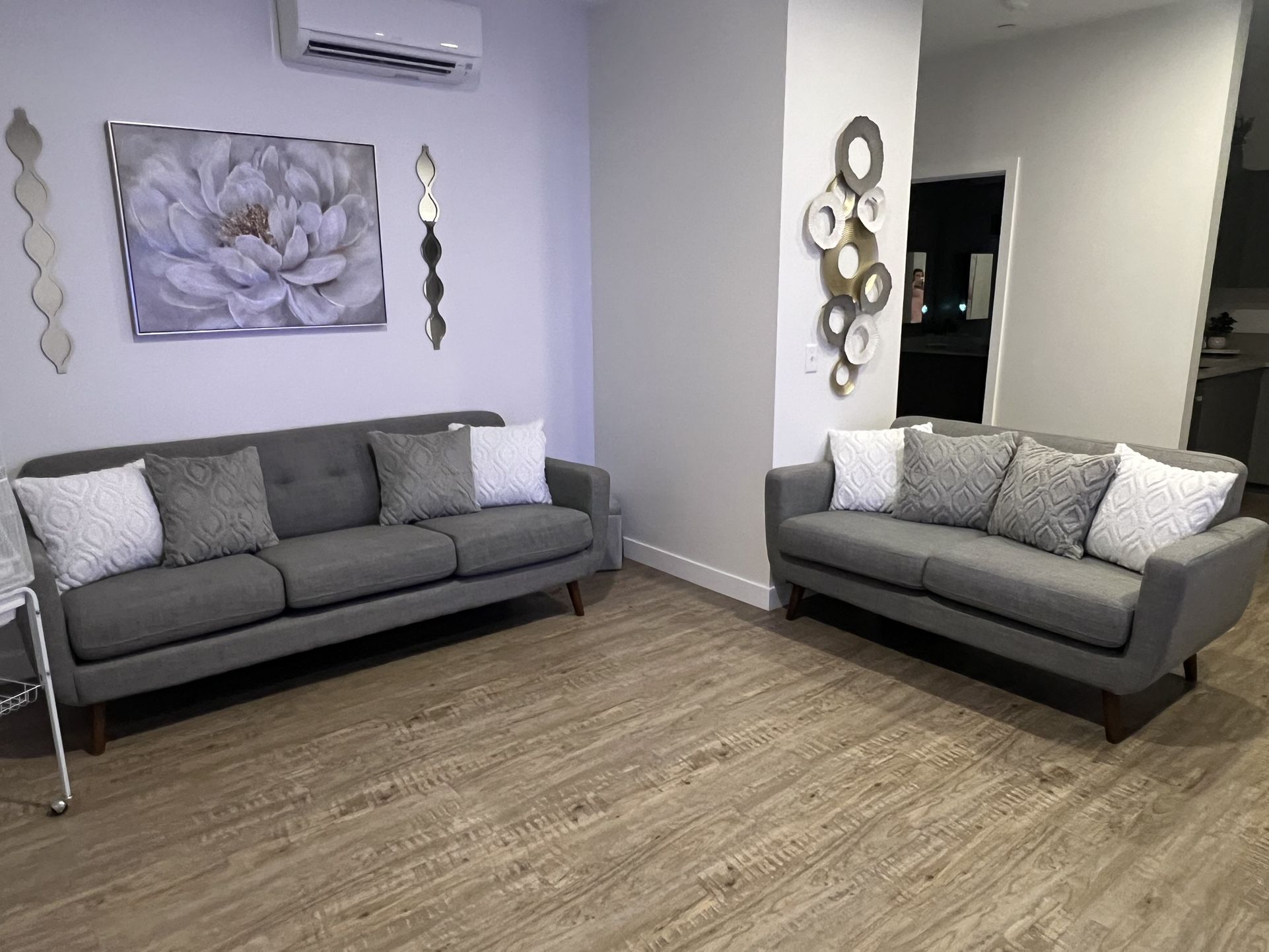 Living room set with 2 sofas