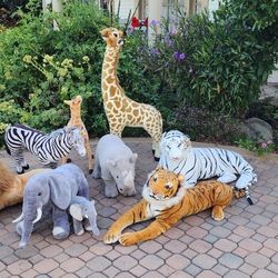 Safari Animals