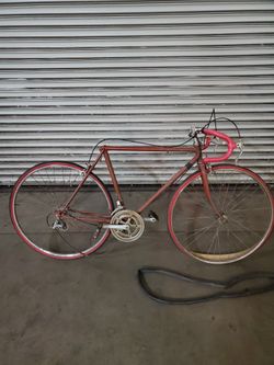 Schwinn 10 Speed