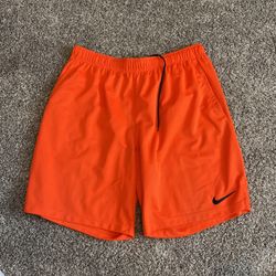 Nike Shorts Size 2xl