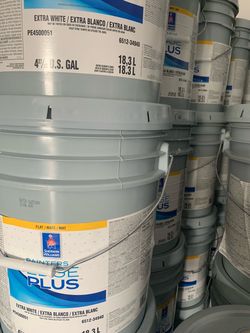 Pintura en venta PAINT & supplies
