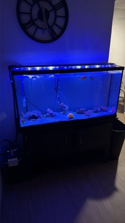 65 Gallon Tall Fish Tank with Stand