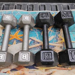 STEEL  HEX  DUMBBELLS  (PAIRS OF)  :  8s  &  12s