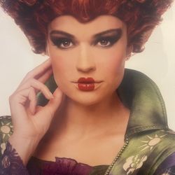 Hocus Pocus Winifred Sanderson
