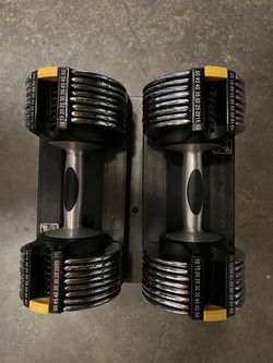 Golds Gym Switch Plate Adjustable Dumbbells